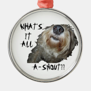 Hund "WAS IST ES ALLES A-SNOUT??" Runde Verzierung Silbernes Ornament