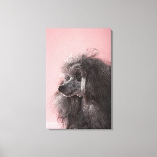 Hund wegschauend leinwanddruck (Vorderseite)