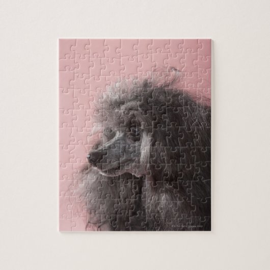 Hund wegschauend puzzle (Vertikal)