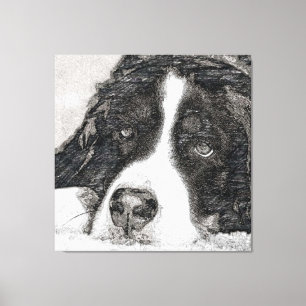 Hund, weiblicher Hund, Berner Hund Leinwanddruck
