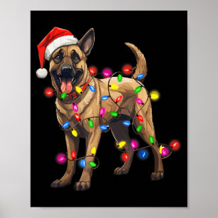 Hund Weihnachten Santa Hut Belgischer Malinois Hun Poster