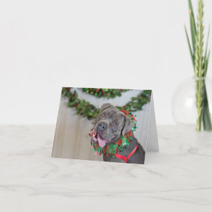 Hund Weihnachtskarte Dankeskarte