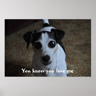 Hund, weißt du, dass du mich Liebe? Poster