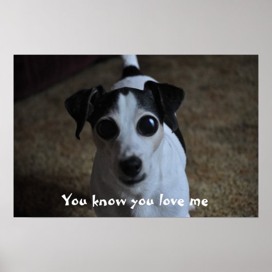Hund, weißt du, dass du mich Liebe? Poster (Vorne)