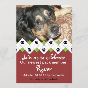 Hund/Welpe Adoption Party Ankündigung