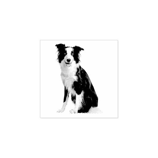 Hund Welpe Border Collie Gummistempel (Prägung)