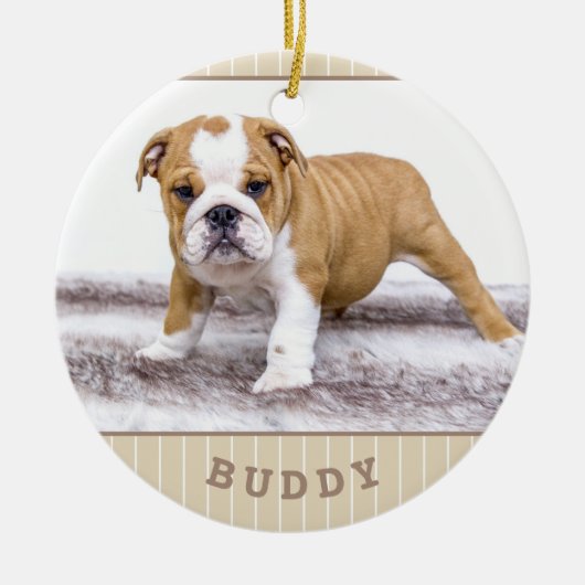 Hund Welpe Foto Beige Streifen Keramik Ornament (Vorne)