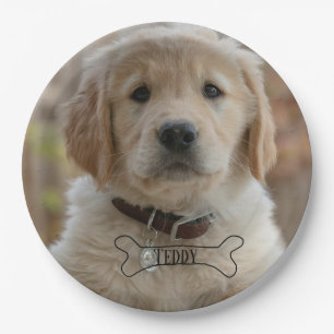 HUND WELPE FOTO NAME BONE BESTER HUND MUTTER VATER PAPPTELLER