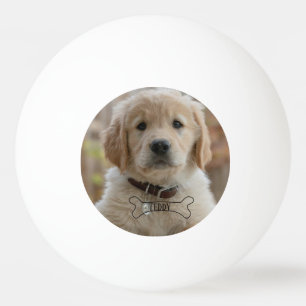 HUND WELPE FOTO NAME BONE BESTER HUND MUTTER VATER TISCHTENNISBALL