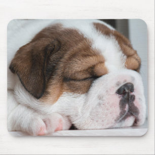 Hund, Welpe, Haustier Mousepad