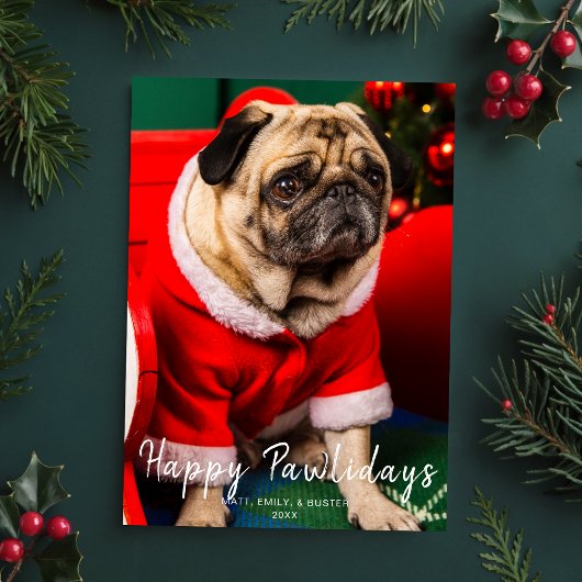Hund Welpe Weihnachten Foto Happy Pawlidays Red