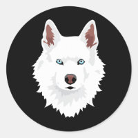 Hund | White Siberian Husky Canine White Snow Dog