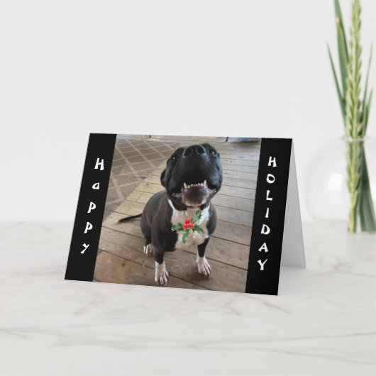 **HUND WILL NUR WEIHNACHTEN UND EIN KNOCHEN** BEI  (Vorderseite)