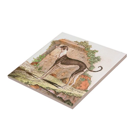 Hund - Windhund Fliese (Seite)