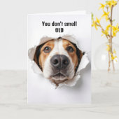 Hund zum Geburtstag im Papierloch Karte (Gelbe Blume)