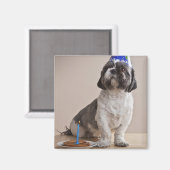 Hund zum Geburtstag Magnet (Vorderseite/Rückseite)