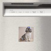 Hund zum Geburtstag Magnet (In Situ (Geschirrspüler))