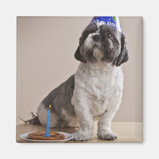 Hund zum Geburtstag Magnet (Vorne)