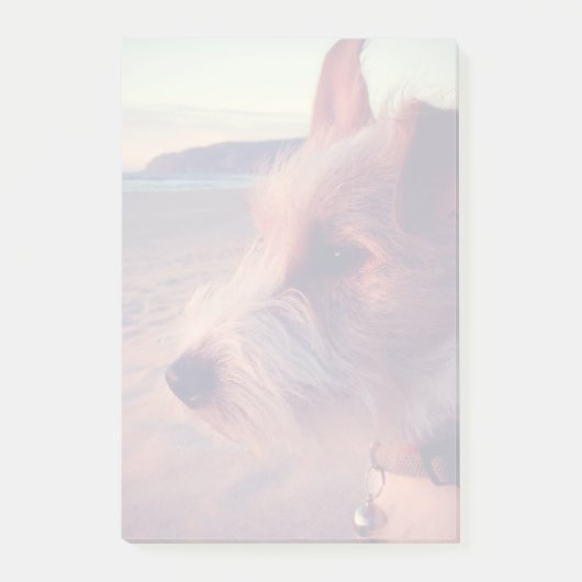 Hund zum Strand Post-it Klebezettel (Vorderseite)