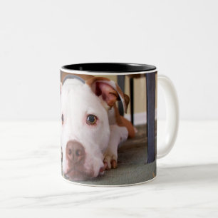 Hund Zweifarbige Tasse