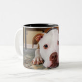 Hund Zweifarbige Tasse (Vorderseite Links)