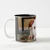 Hund Zweifarbige Tasse (Links)