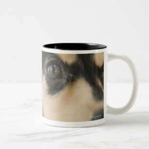Hund Zweifarbige Tasse