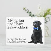 Hundbewegung im schwarzen Labor Ankündigung (Stehend Vorderseite)