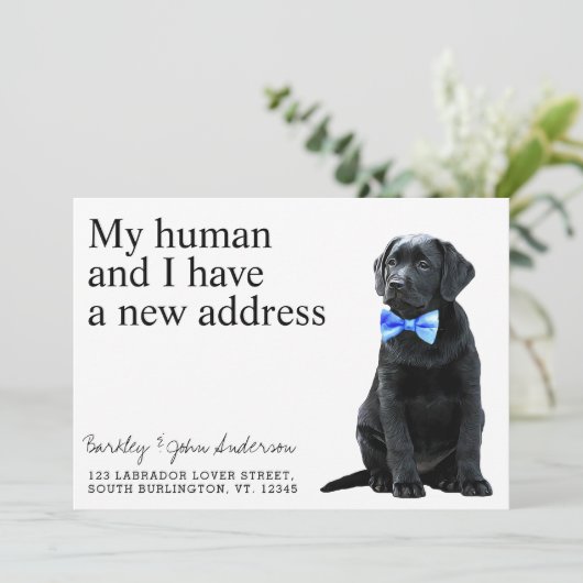 Hundbewegung im schwarzen Labor Ankündigung (Stehend Vorderseite)