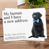 Hundbewegung im schwarzen Labor Ankündigung