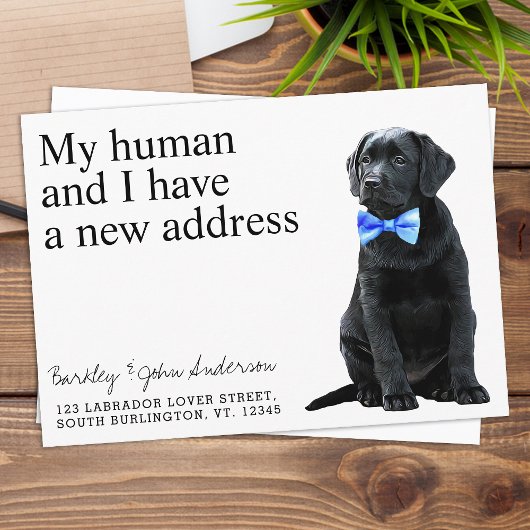 Hundbewegung im schwarzen Labor Ankündigung