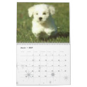 Hundcalander Kalender (Mär 2027)
