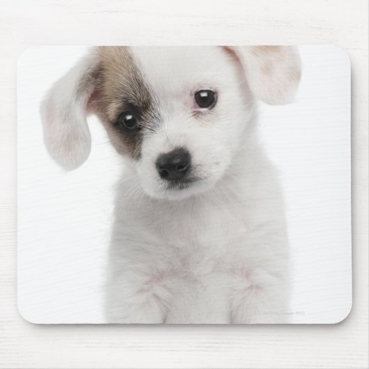 Hündchen (2 Monate alt) Mousepad (Vorne)