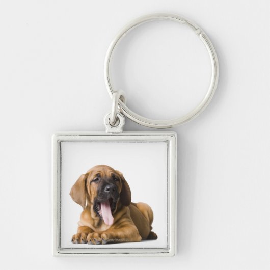 Hündchen 2 schlüsselanhänger (Vorne)