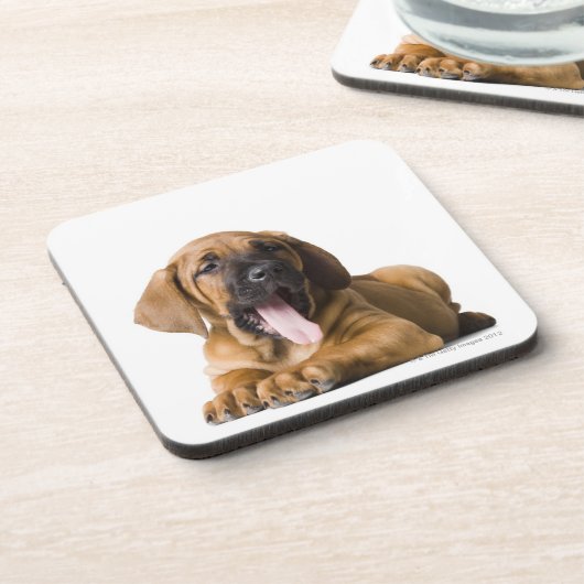 Hündchen 2 untersetzer (Linke Seite)