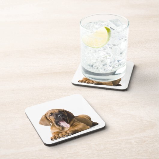 Hündchen 2 untersetzer (Rechte Seite)