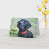 Hündchen-Geburtstags-Karte! Karte (Gelbe Blume)