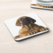 Hündchen Getränkeuntersetzer (Linke Seite)