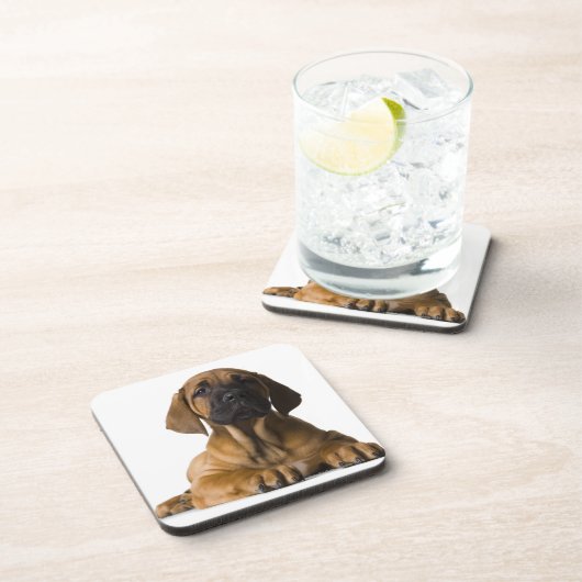 Hündchen Getränkeuntersetzer (Rechte Seite)