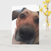 Hündchen hallo karte (Gelbe Blume)