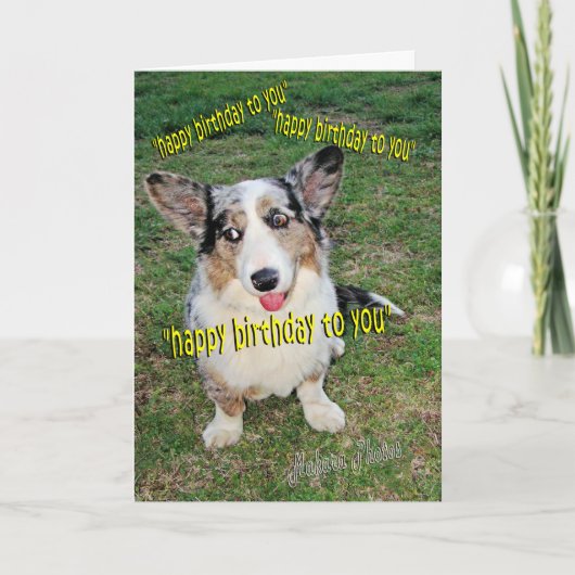 Hündchen-Kuchen-Träume Karte (Vorderseite)