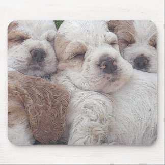 Hündchen Mousepad