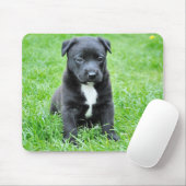 Hündchen Mousepad (Mit Mouse)