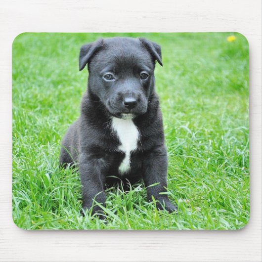 Hündchen Mousepad (Vorne)