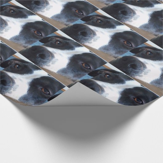 Hündchen-Papier Pitt Geschenkpapier (Ecke)