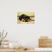 Hündchen Poster (Küche)