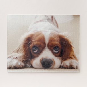 Hündchen Puzzle