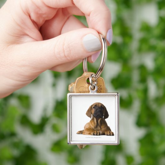 Hündchen Schlüsselanhänger (Hand)