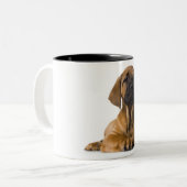 Hündchen Zweifarbige Tasse (Vorderseite Links)