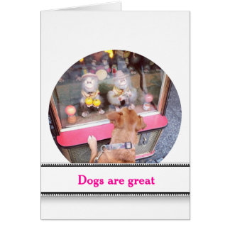 Hunde